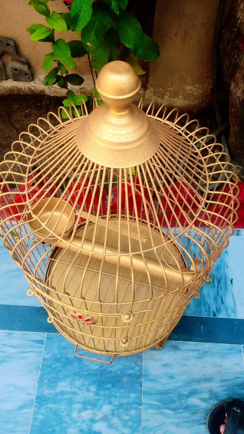 cages for cute birds — photo 6