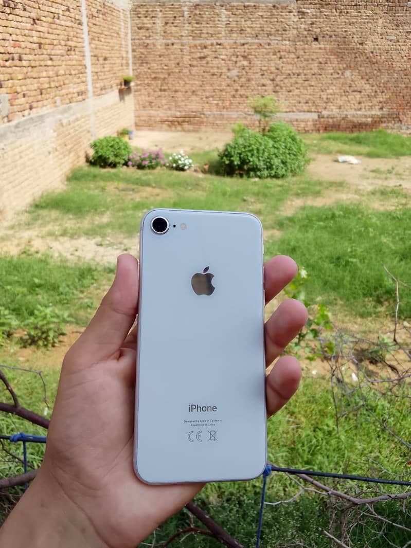 Apple iPhone 8 3