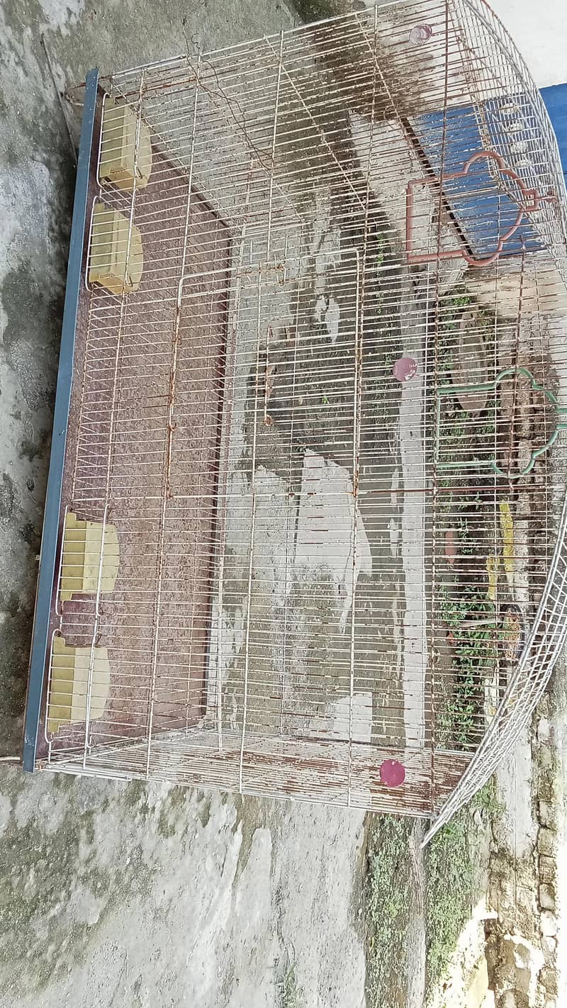 Bird cage 0