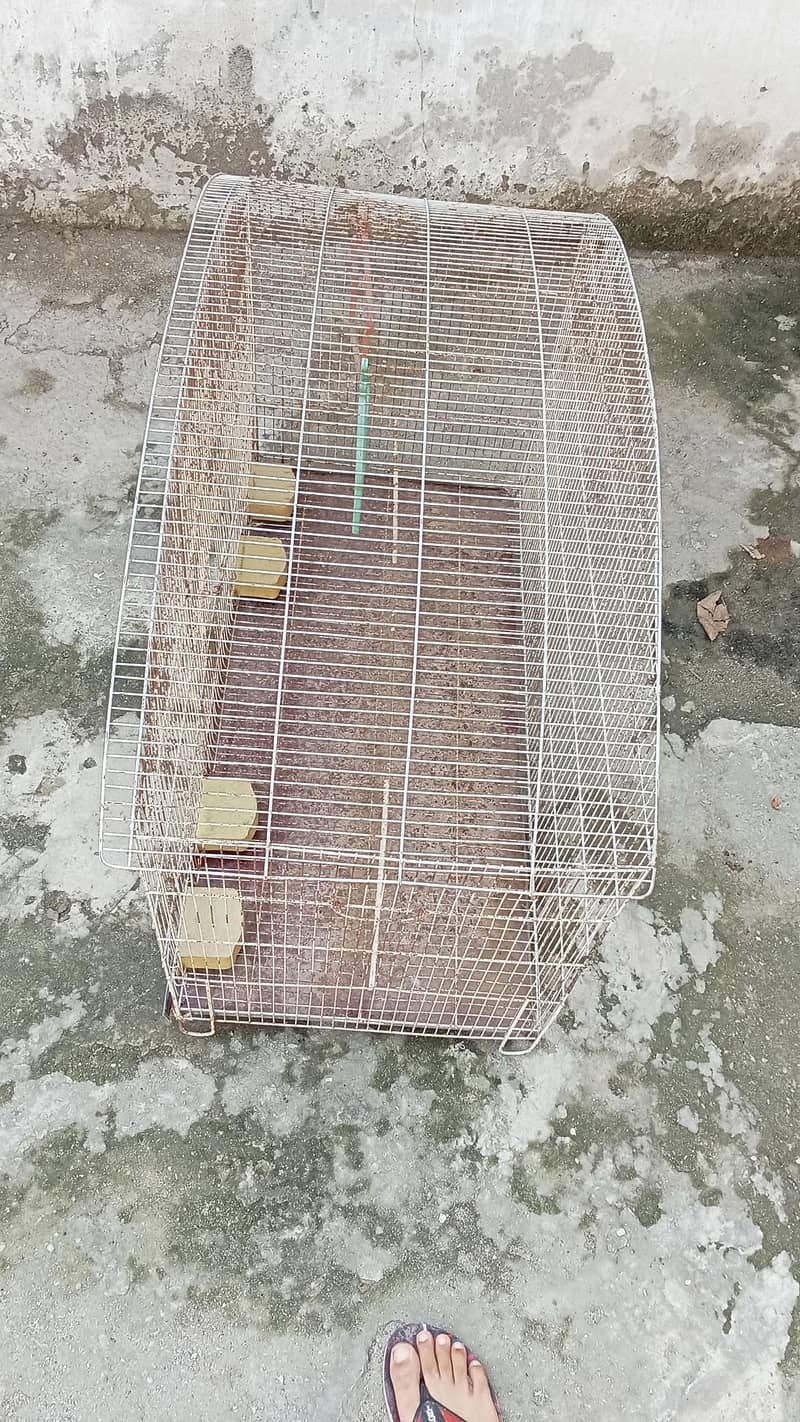 Bird cage 2