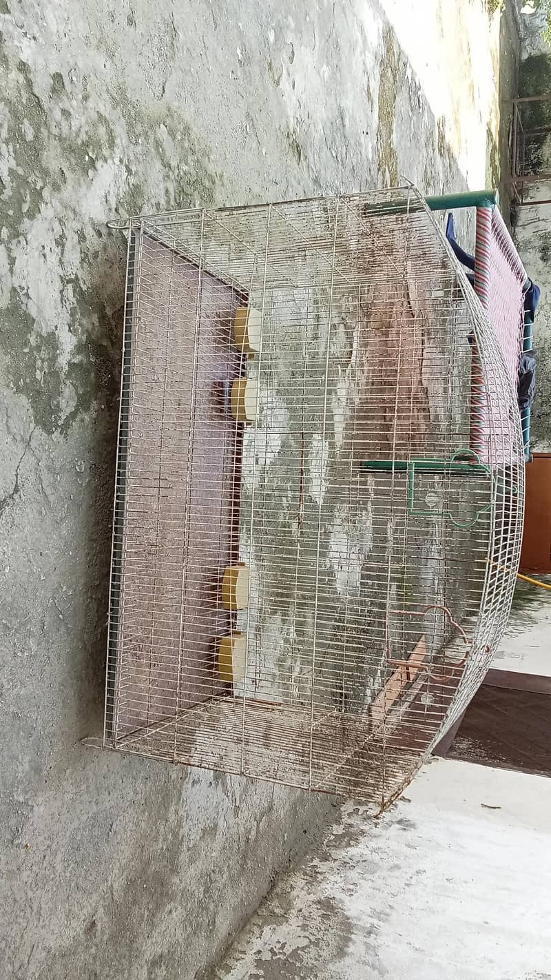 Bird cage 3