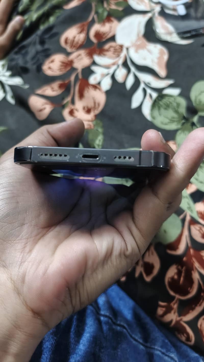 Apple iPhone 13 Pro Max 1