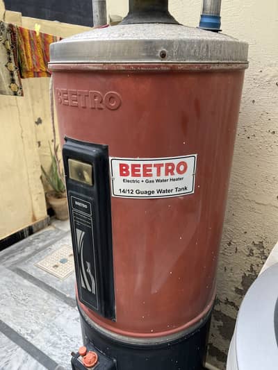 Beetro Geyser Gas+Electric