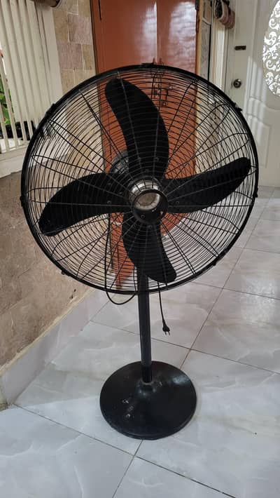 Rado Pedestal Fan