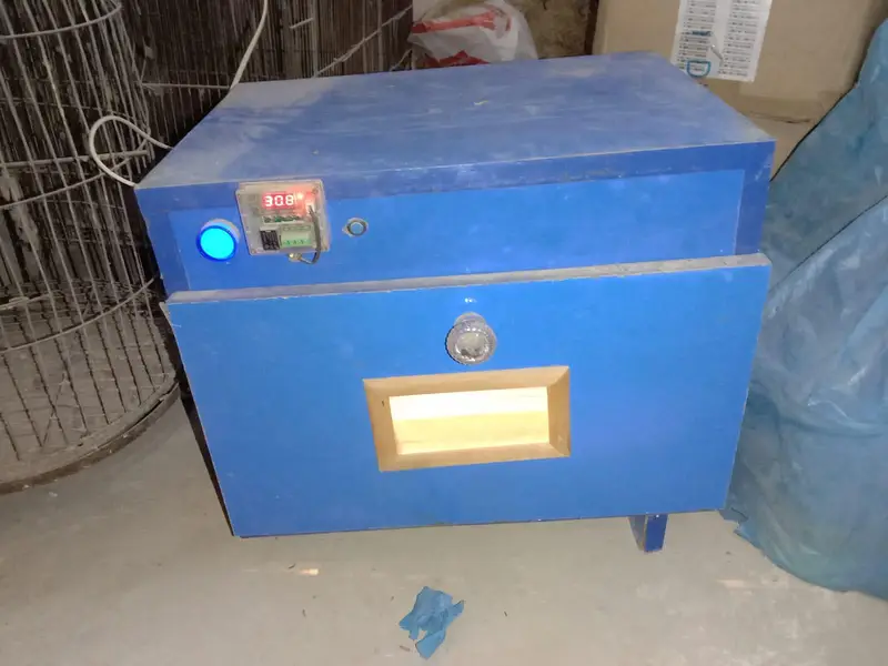incubator — photo 2