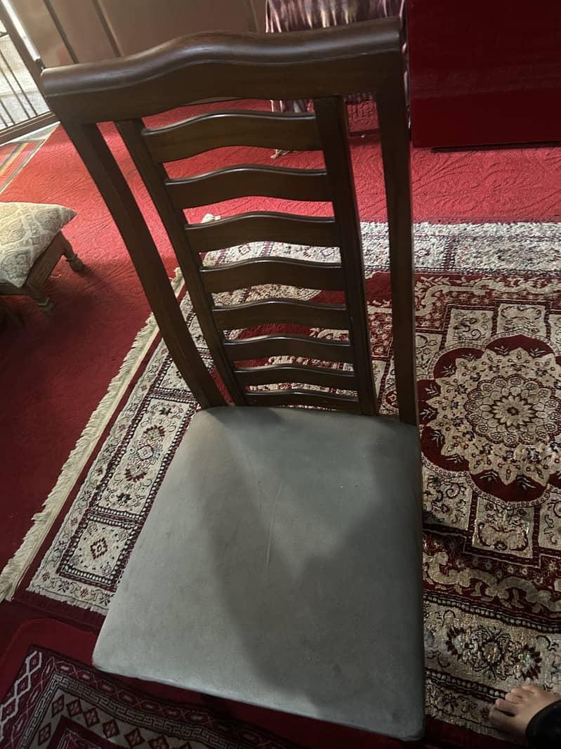 Dining chairs 1