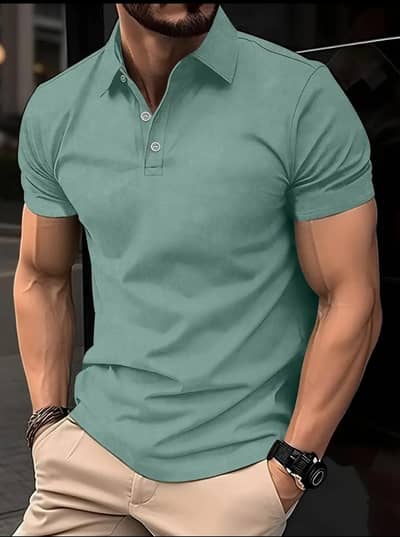 2x New FXYH Sage Green Polo T-Shirts (Imported / Stretchable) - Size L