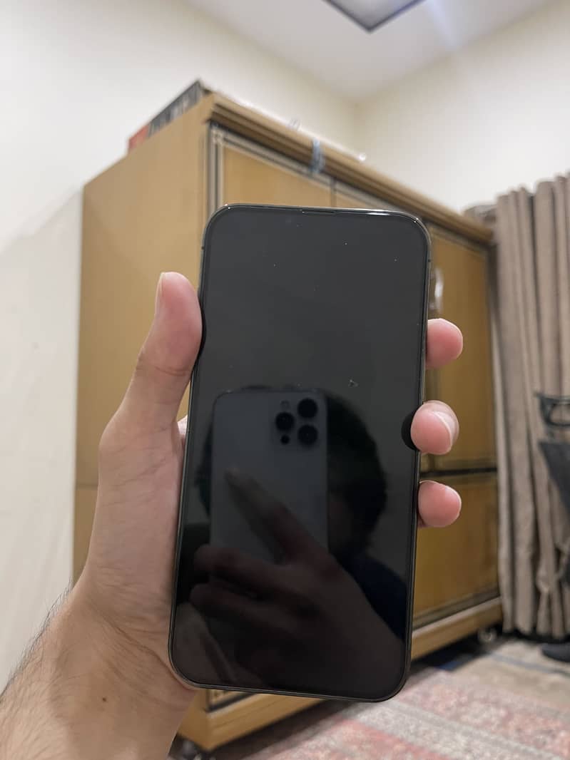 Apple iPhone 13 Pro Max 1