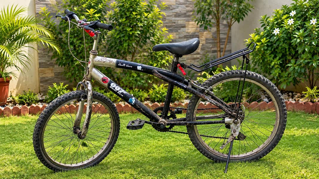 cycle 0