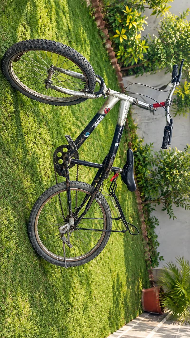 cycle 1