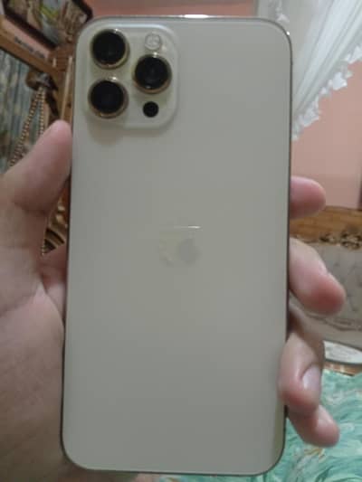 Apple iPhone 12 pro max