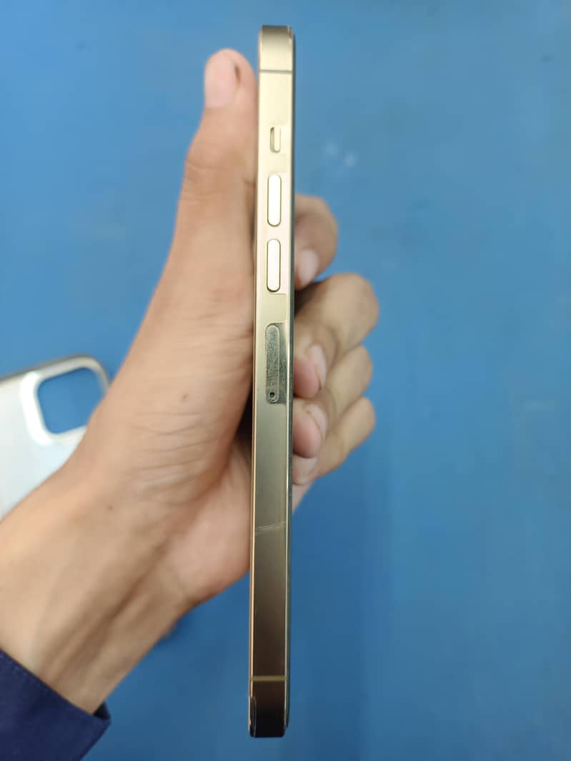 Apple iPhone 13 Pro Max 3