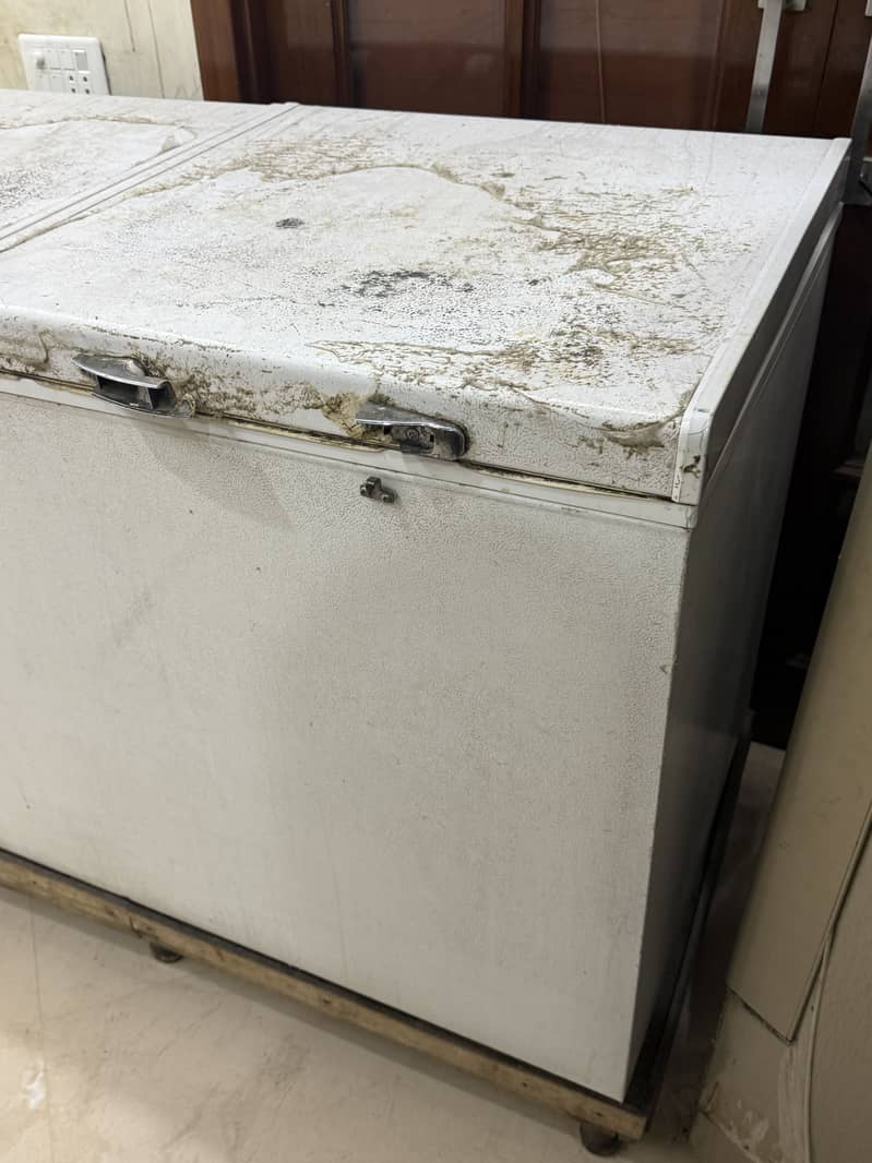 Waves fridge & freezer 5