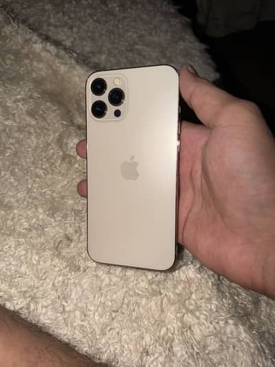 Apple iPhone 12 Pro Max