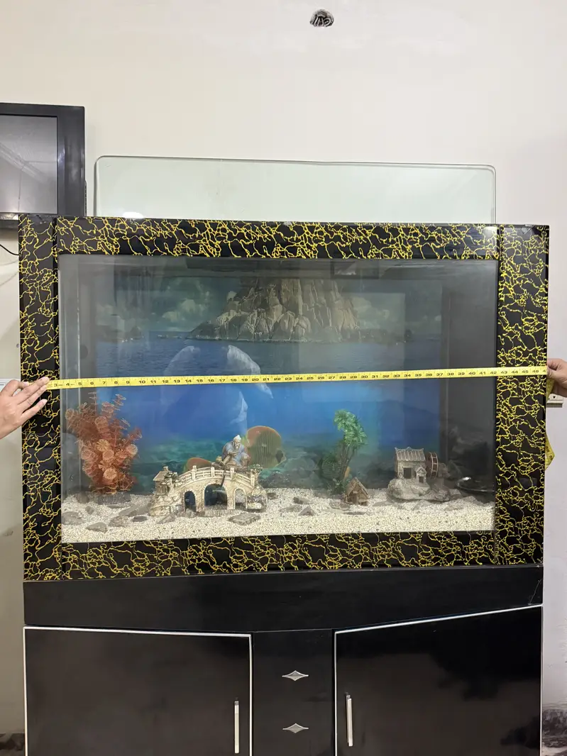 FISH AQUARIUM — photo 2