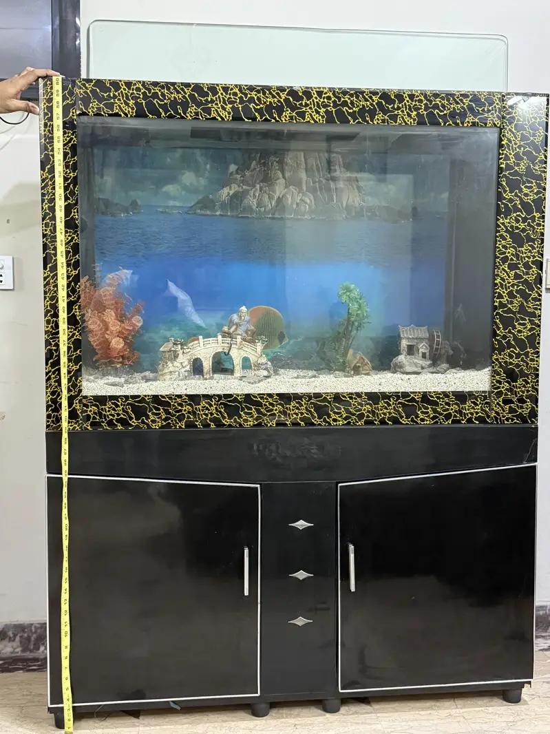 FISH AQUARIUM — photo 3