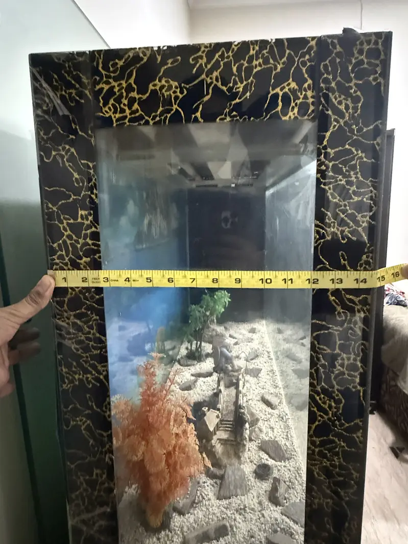 FISH AQUARIUM — photo 4