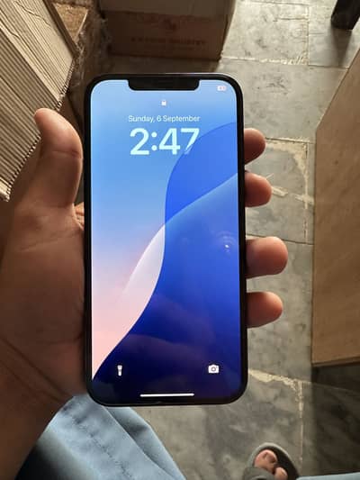 Apple iPhone 12 Pro Max