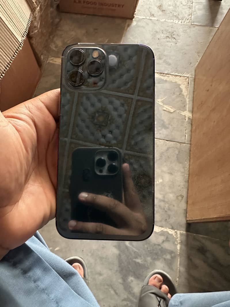 Apple iPhone 12 Pro Max 1