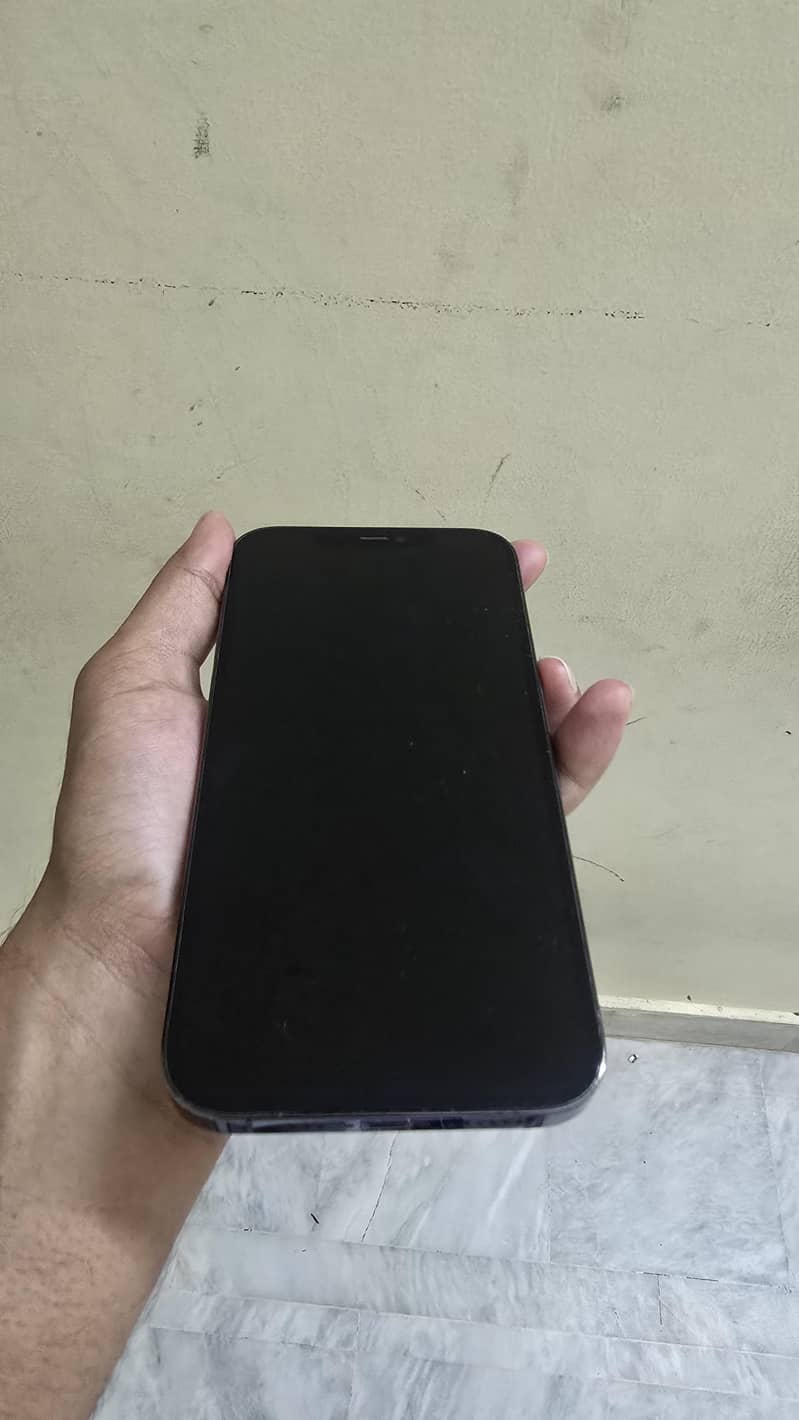 Apple iPhone 12 Pro Max 1