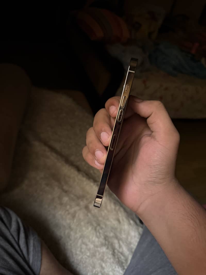 Apple iPhone 12 Pro Max 2
