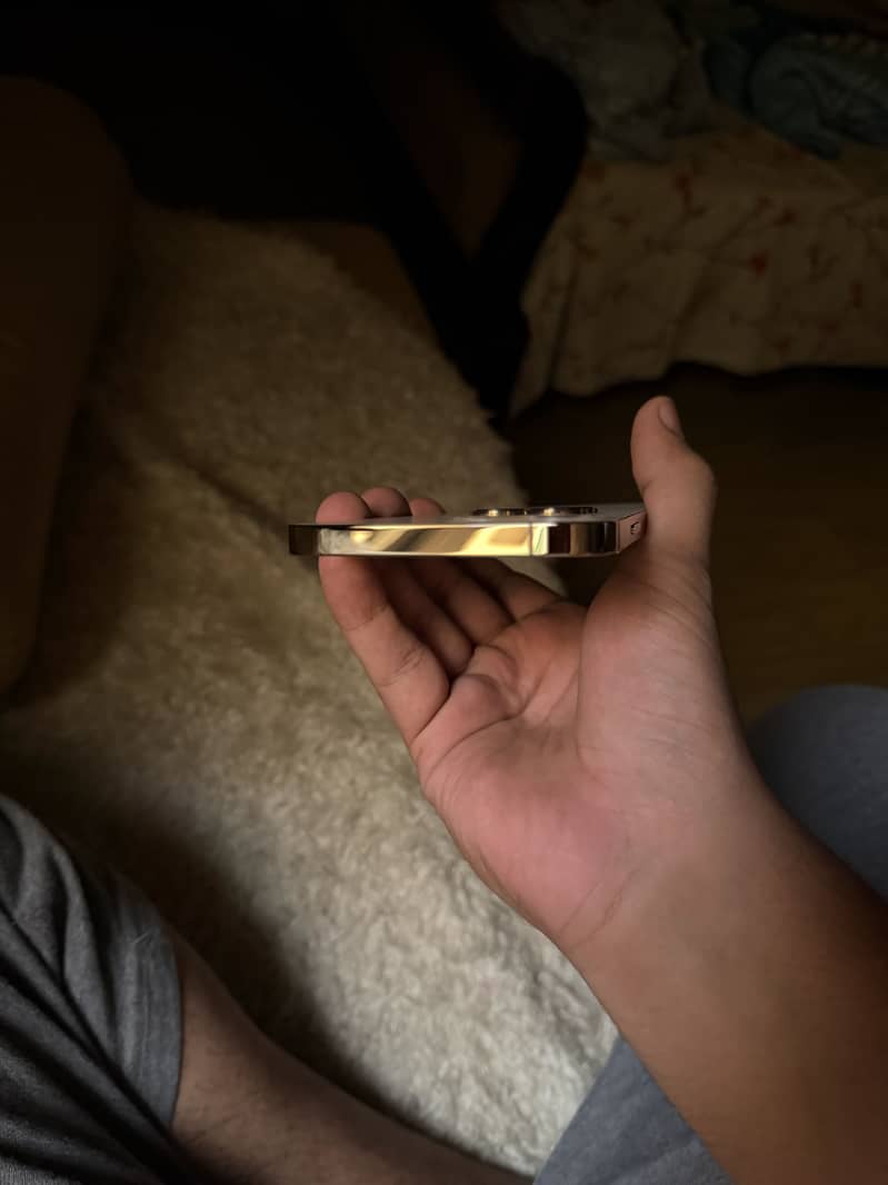 Apple iPhone 12 Pro Max 3