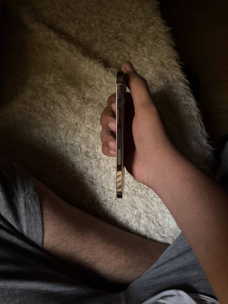 Apple iPhone 12 Pro Max 4