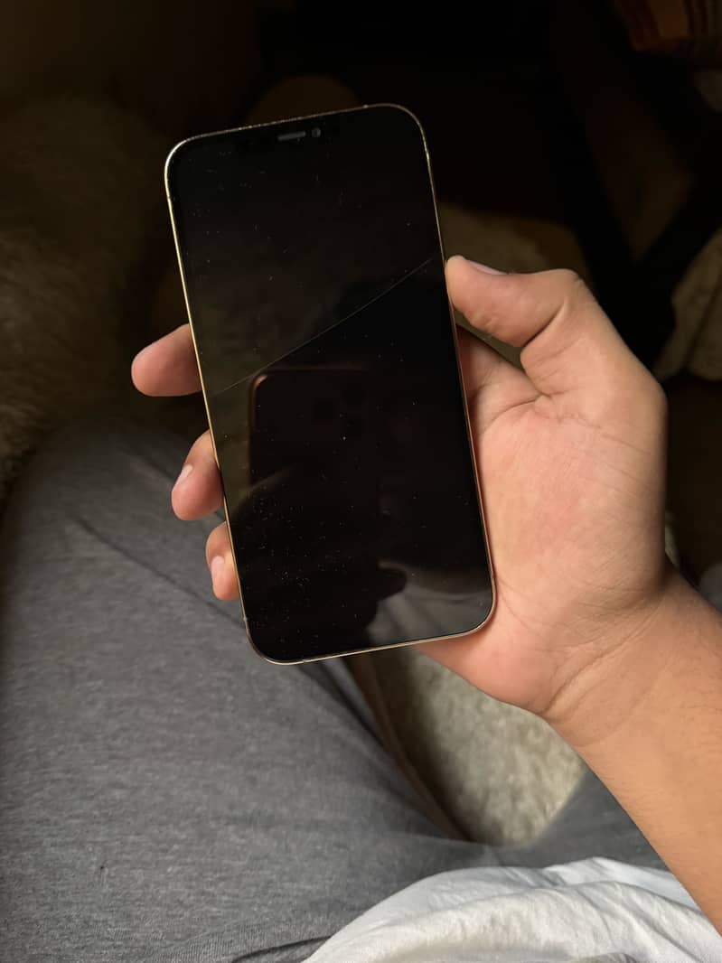 Apple iPhone 12 Pro Max 5
