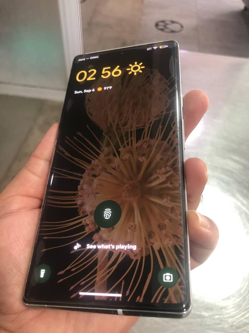 Google Pixel 6 Pro 1