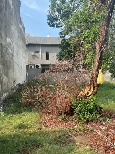 5 Marla LDA Approved Commercial Facing Plot - Block A Khayaban-e-Amin