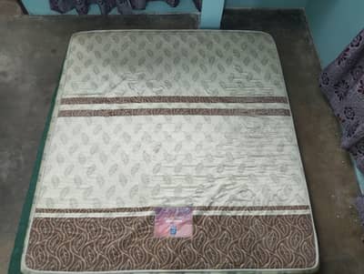 diamond foam popular with firm