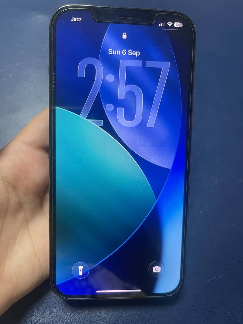 Apple iPhone 12 Pro Max 2
