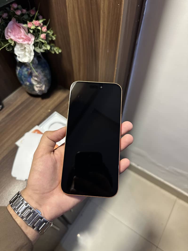 Apple iPhone 17 Pro Max 2