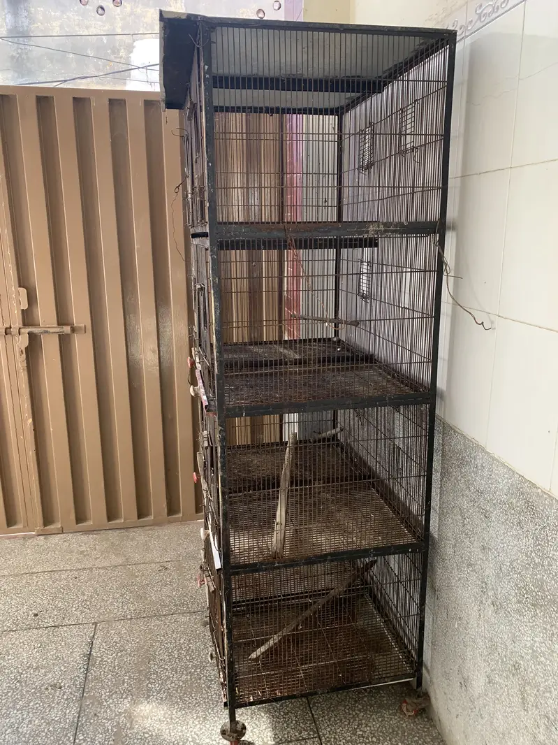 Cage 8portion — photo 3