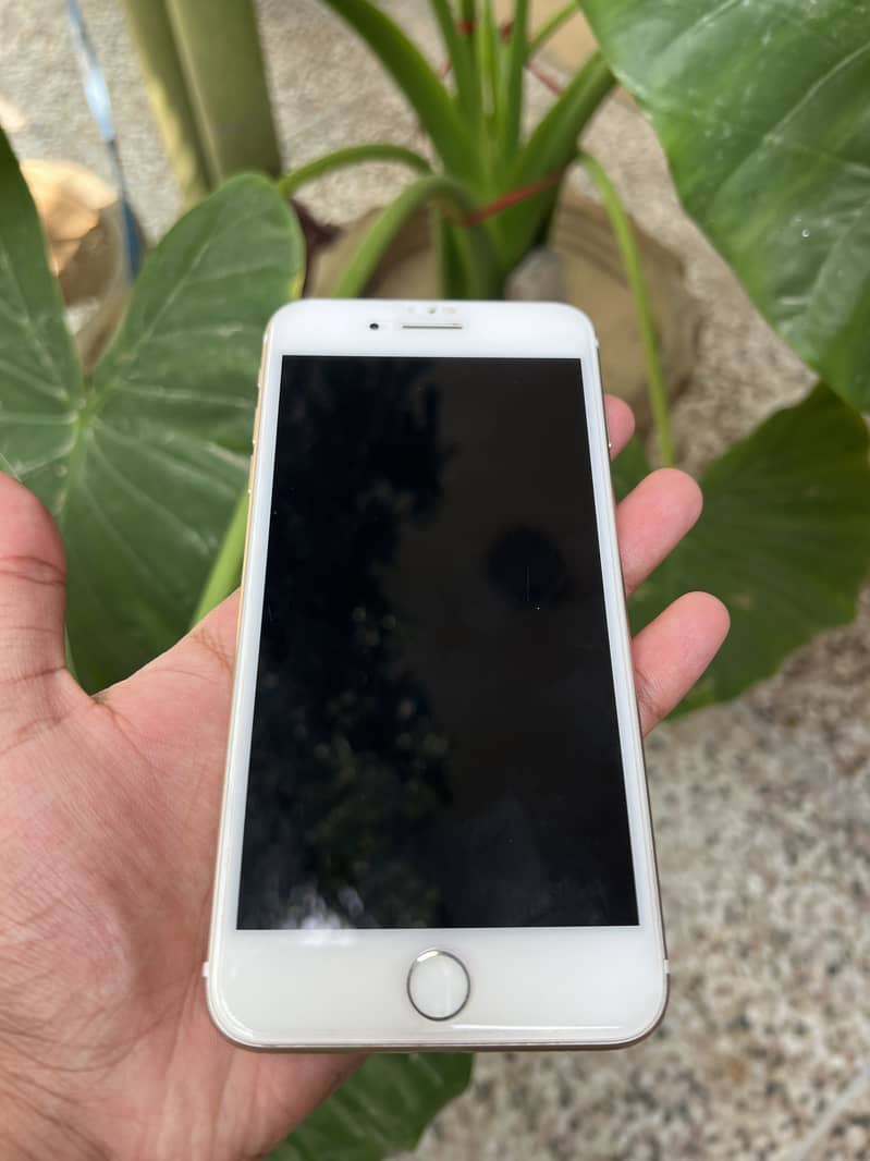 Apple iPhone 7 Plus 1