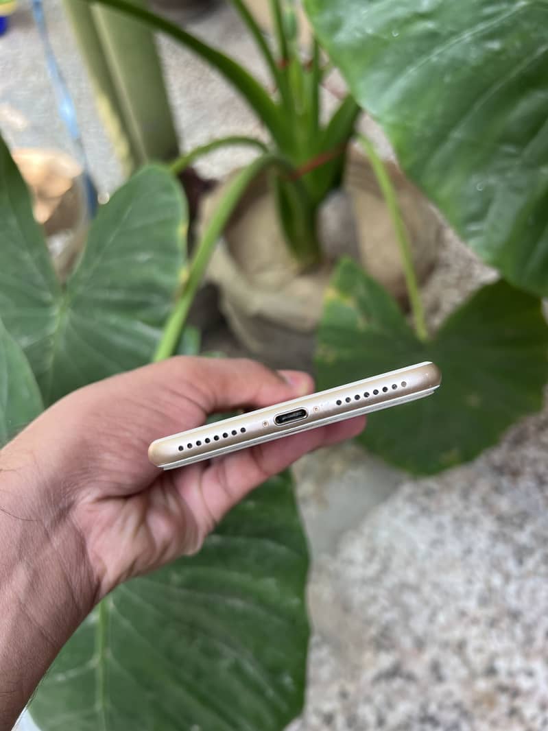 Apple iPhone 7 Plus 3