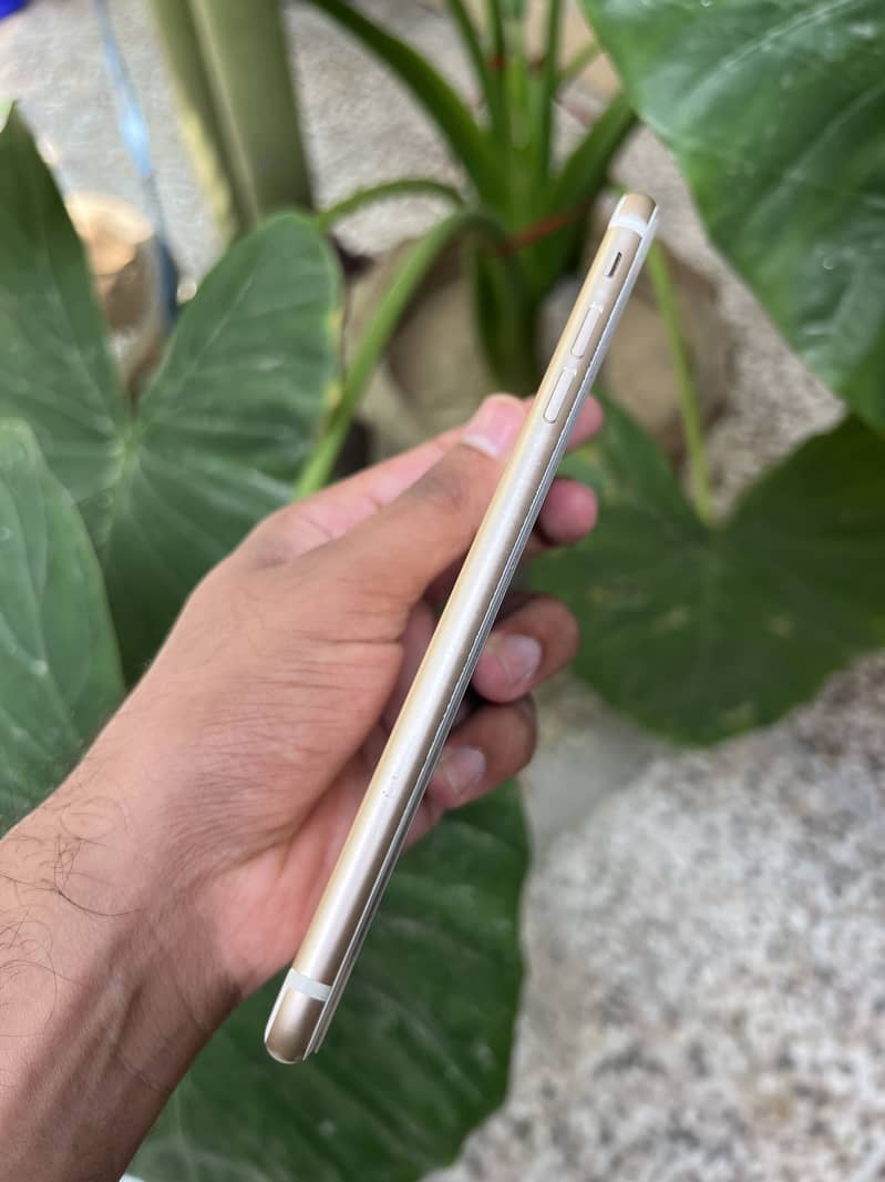 Apple iPhone 7 Plus 4