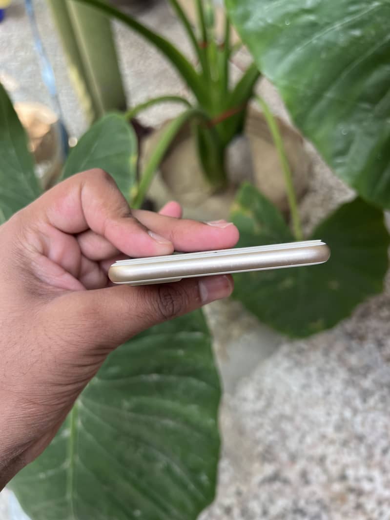 Apple iPhone 7 Plus 5