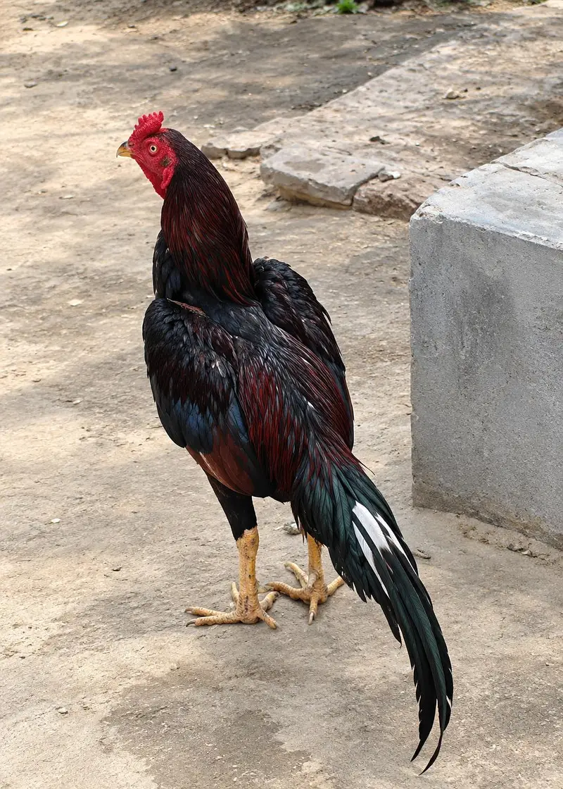 cheez chk kr lein Jo pic ma ha wohe Mila ga — photo 2