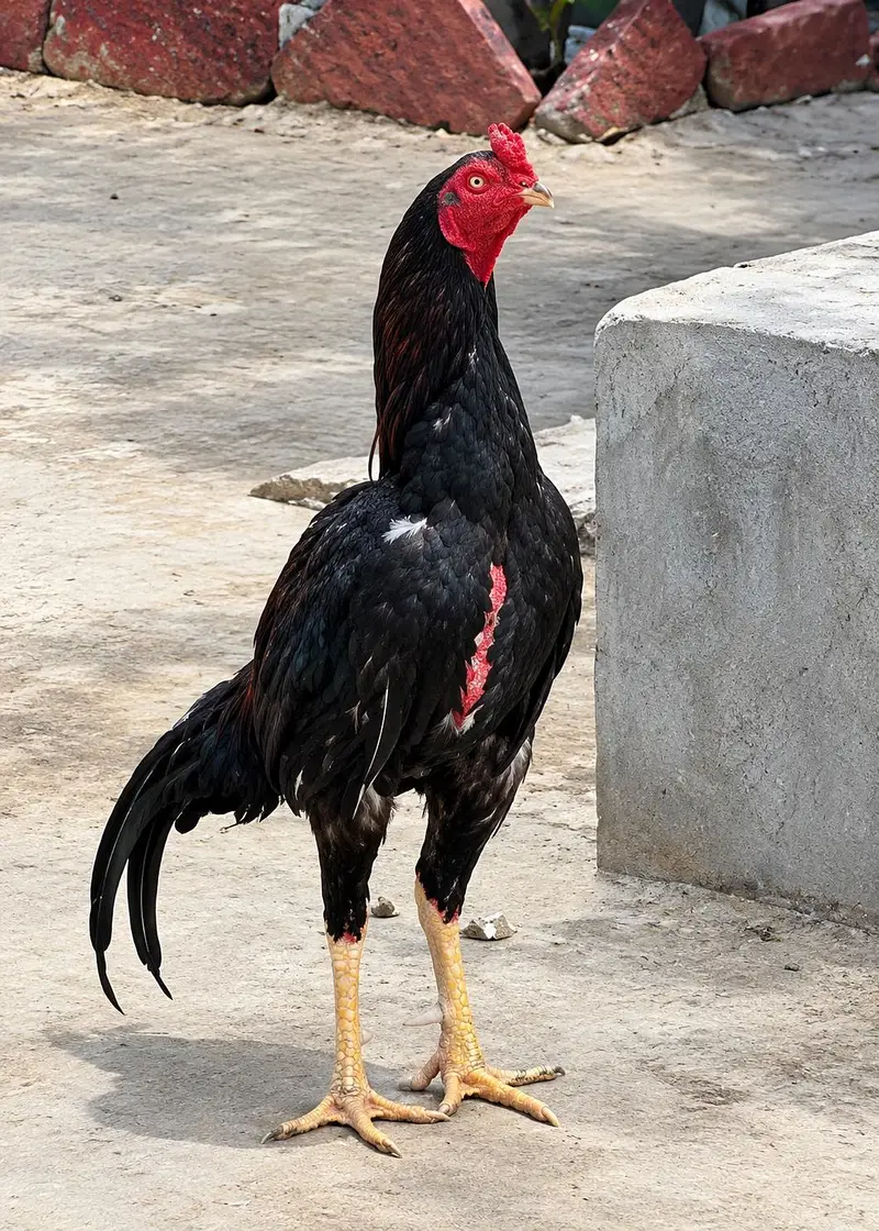 cheez chk kr lein Jo pic ma ha wohe Mila ga — photo 3