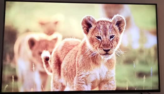 Hairr Smart TV