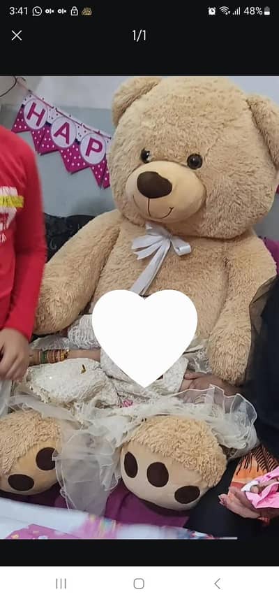 Big size Teddy bear