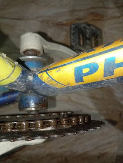 Phoenix Bicycle 26 inch