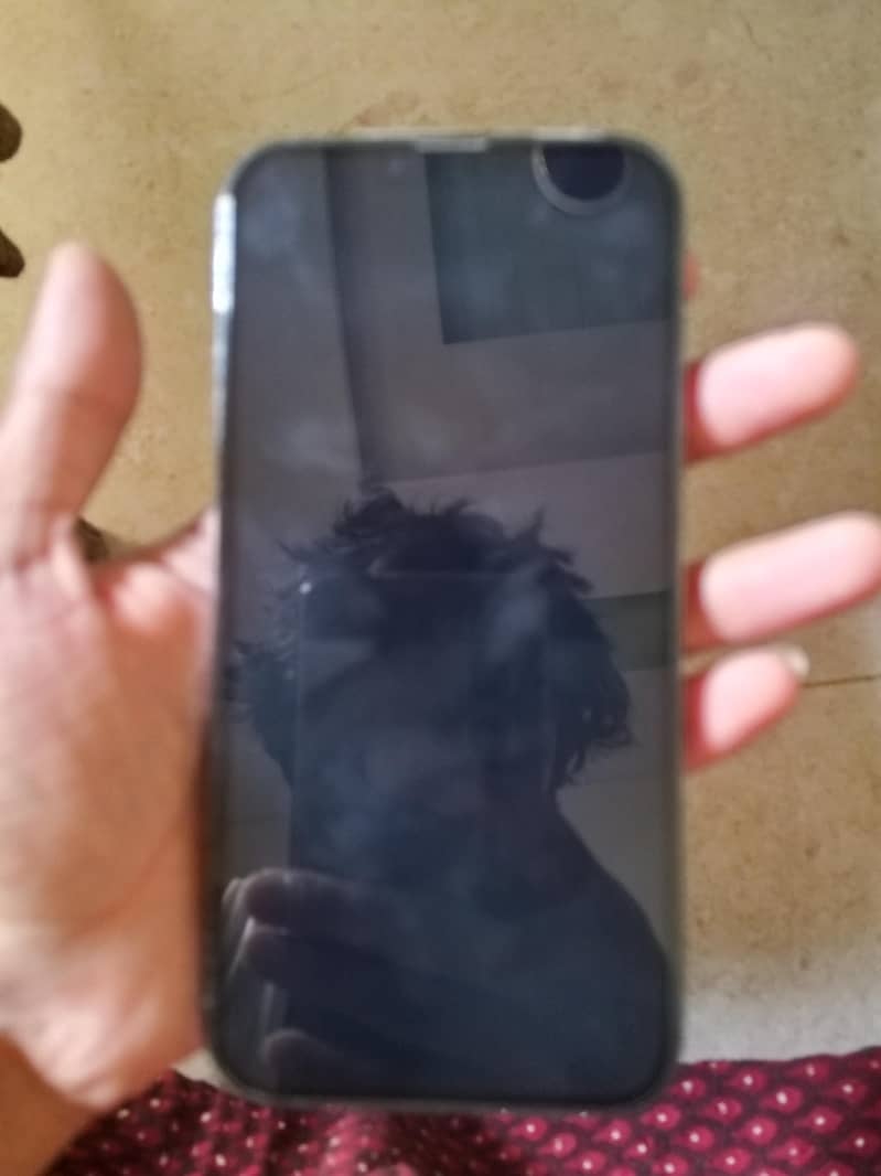 Apple iPhone 13 Pro Max 2