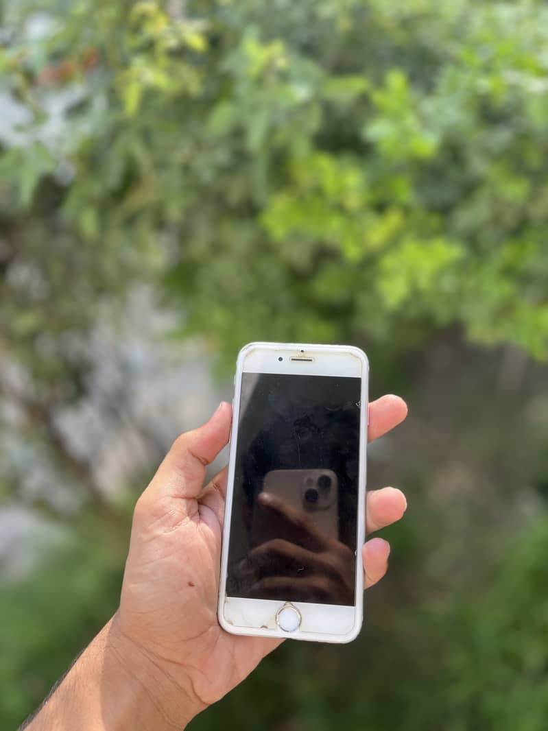 Apple iPhone 6 6
