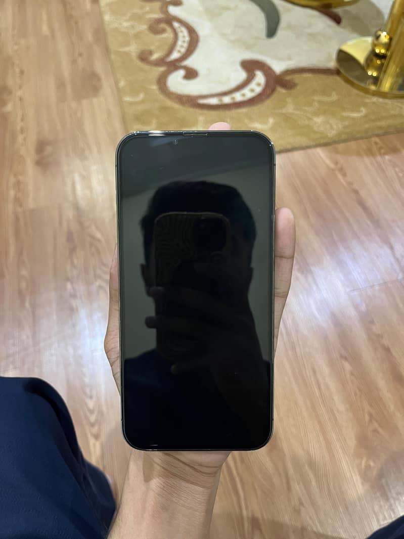 Apple iPhone 13 Pro Max 3