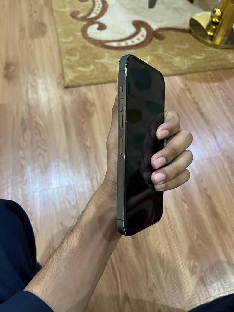 Apple iPhone 13 Pro Max 7