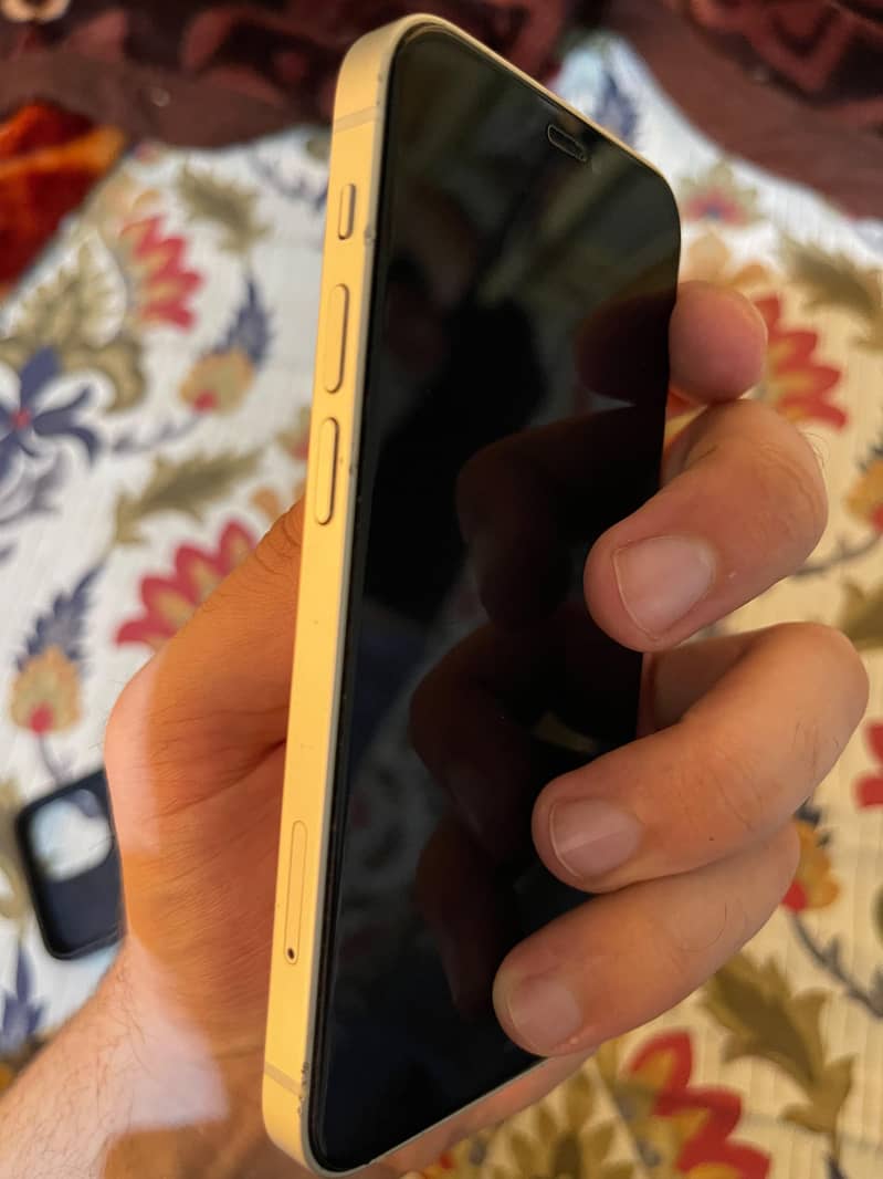 Apple iPhone 12 mini 1