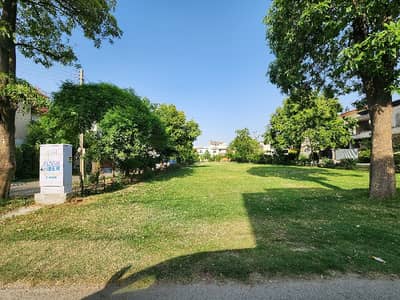 10 MARLA PLOT Available For Sale