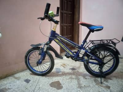 Bicycle for kids